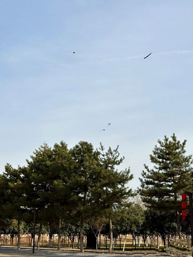 鍾意西安每個有陽光嘅日子 鍾意西安每個有陽光嘅日子