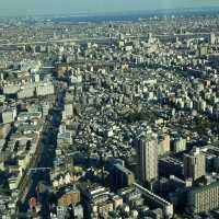 🌆東京之巔！邂逅晴空塔的夢幻時刻