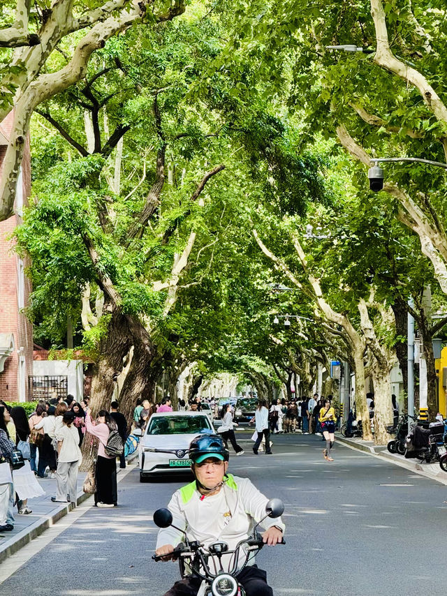 Shanghai is adorable for its atmosphere 