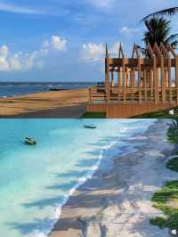 瓊海：椰林海浪編織的海島詩章，赴一場藍色綺夢