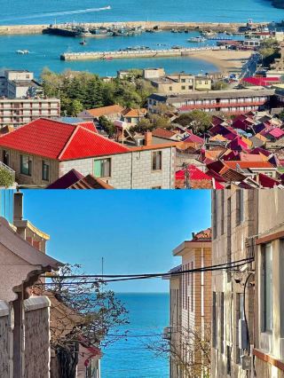 Life advice: Before leaving Qingdao, don't miss the ¥1 coastal bus route!