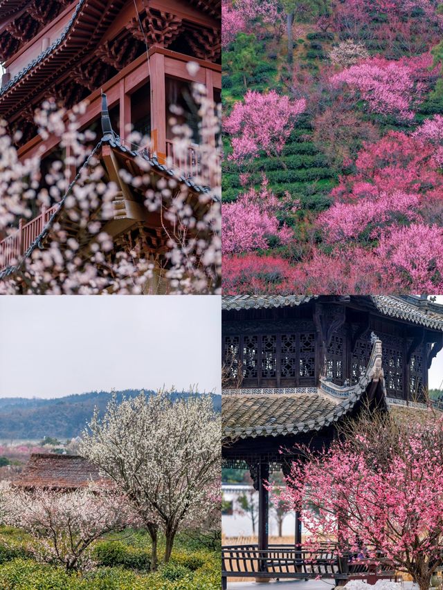 南京溧水  被低估的小眾寶藏旅行地