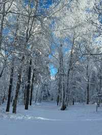 哈爾濱－雪鄉小長假遊玩攻略 誰能拒絕冬日童話的誘惑