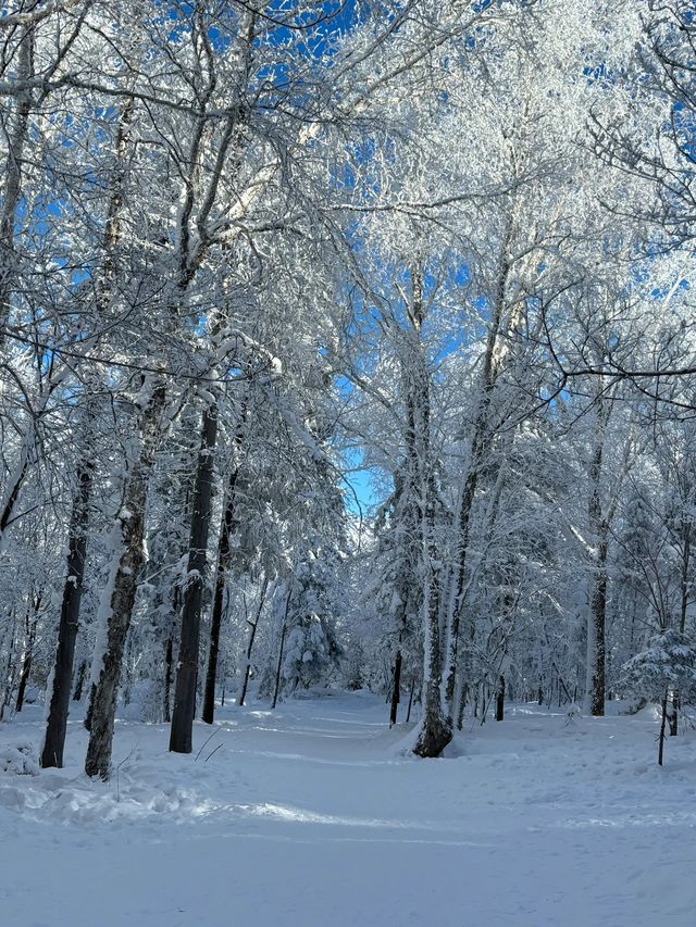 哈爾濱－雪鄉小長假遊玩攻略 誰能拒絕冬日童話的誘惑