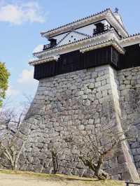 四國松山｜愛媛除了道後溫泉，還有松山城