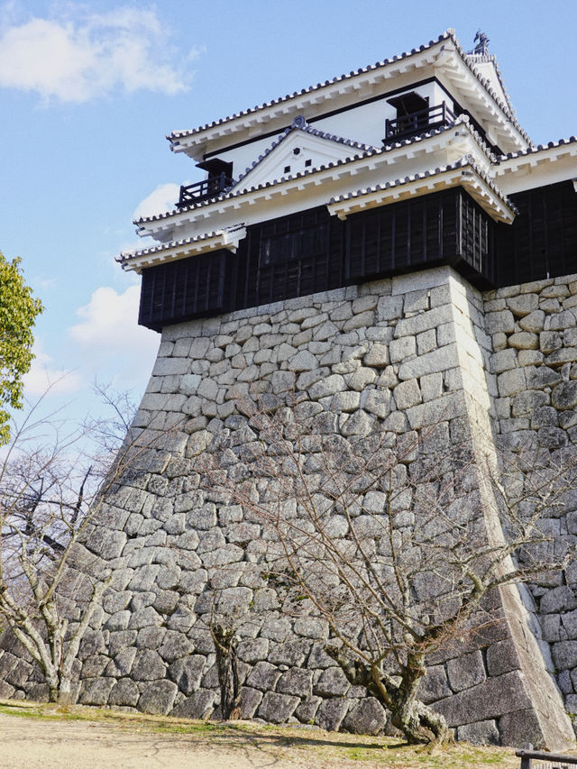 四國松山｜愛媛除了道後溫泉，還有松山城