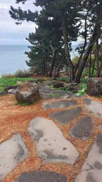 打卡 | 韓國濟州島獨立岩