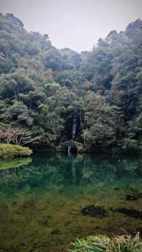 煙花三月下江南，杭州春日漫遊 |  邂逅西湖茶園嘅綠野仙蹤