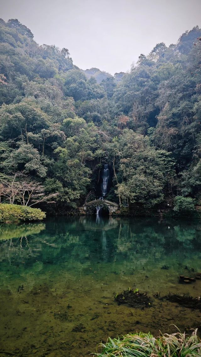 煙花三月下江南，杭州春日漫遊 |  邂逅西湖茶園嘅綠野仙蹤