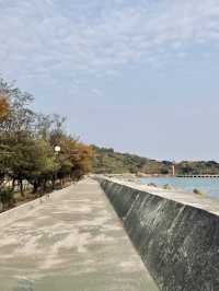 山海交響：從西子灣到台北的城市追光