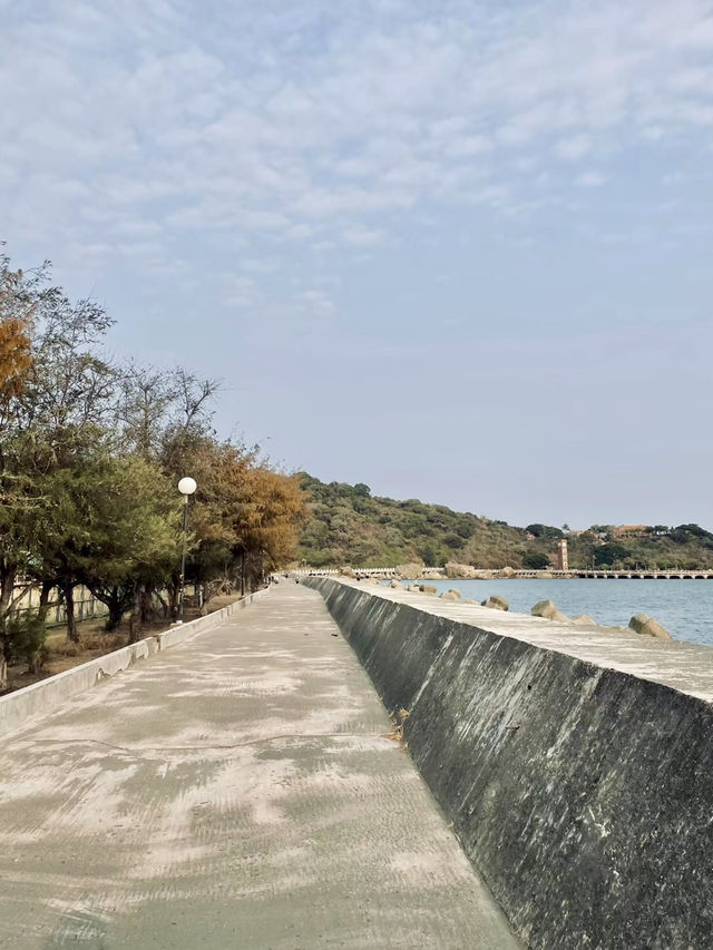 山海交響：從西子灣到台北的城市追光