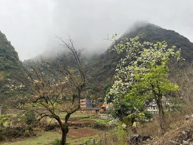 🏞️陽山秦漢古道體驗攻略：穿越歷史，探尋自然之美👣