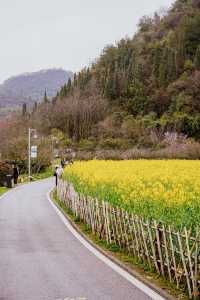 地鐵直達春日 | 在十里河灘的油菜花海裡騎行追風。