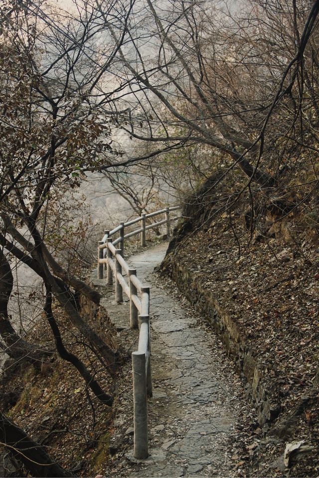 嘩！鄭州周邊竟然藏著一個「冰雪奇緣」秘境！