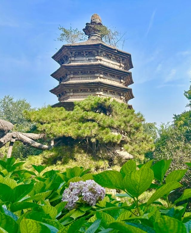 千年戒壇戒台寺，禪韻鐘聲祈安康！
