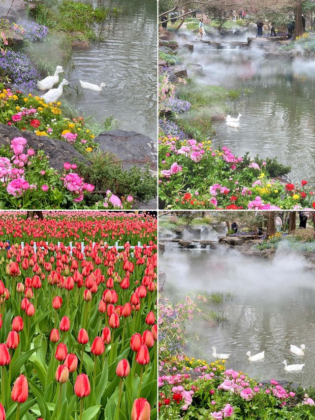 闖入現實版莫奈花園！南京中山植物園遊玩全攻略