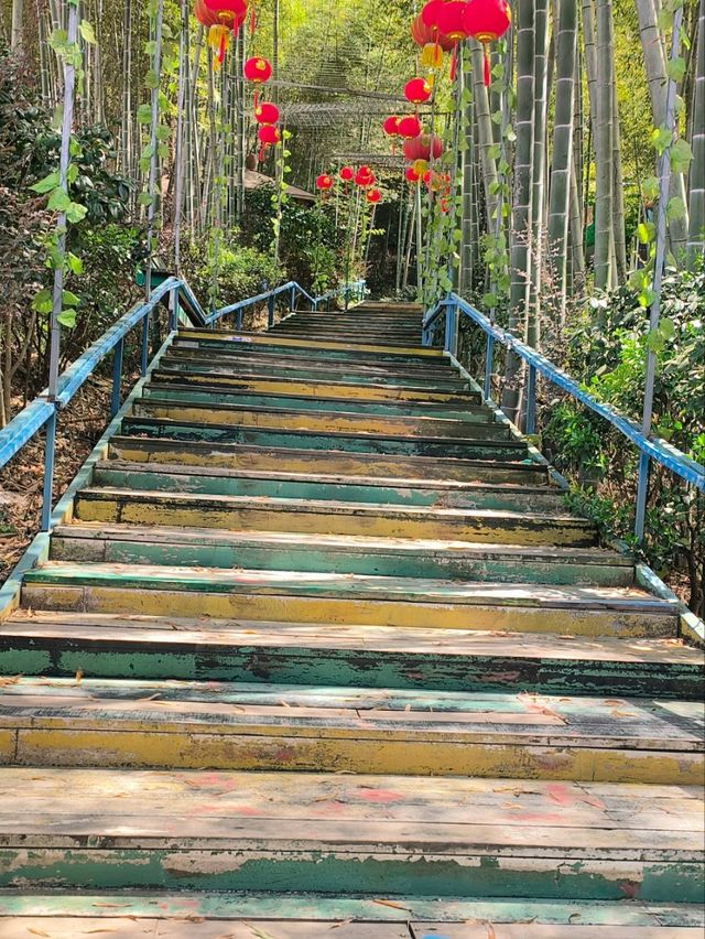 Glass Bridge and Glass Skywalk