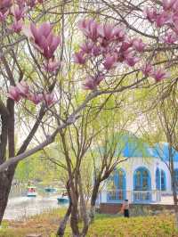 交換春天·魔都隱藏莫奈花園被我找到了