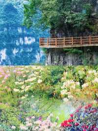 貴州畢節旅遊攻略來啦