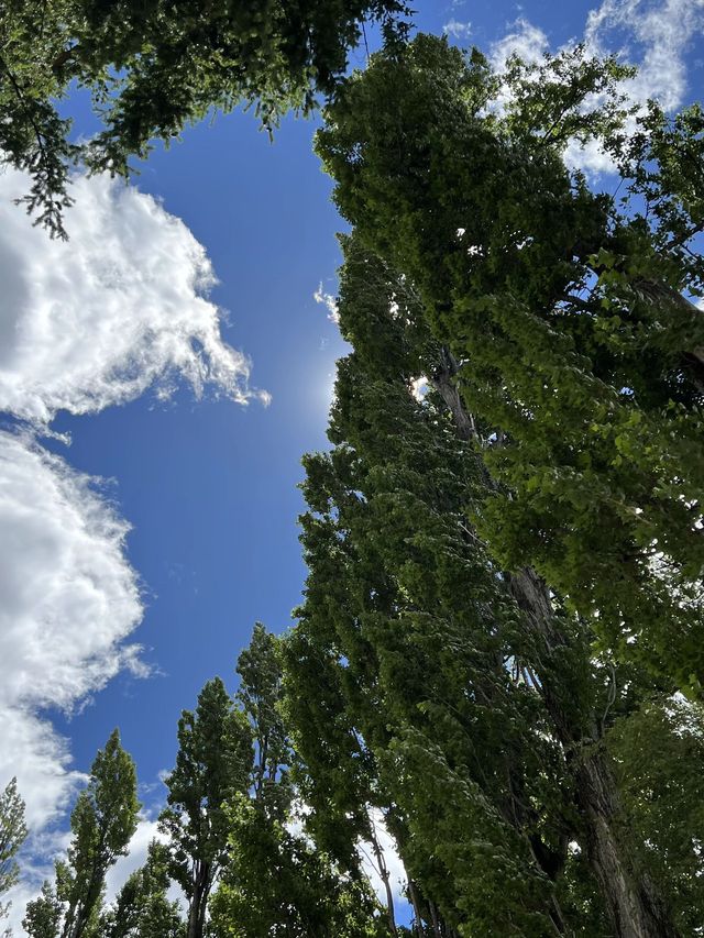 清明新西蘭7日遊 玩轉南半球春光