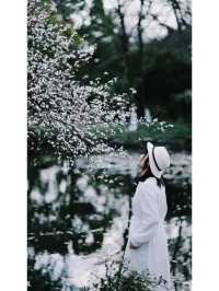 Exploring Hangzhou: A Serene Walk Through Maojiabu