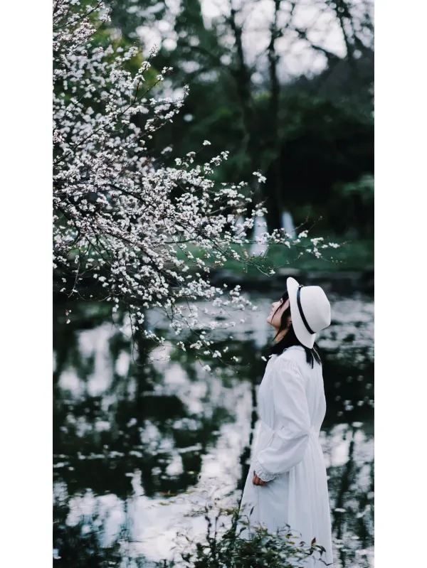 Exploring Hangzhou: A Serene Walk Through Maojiabu