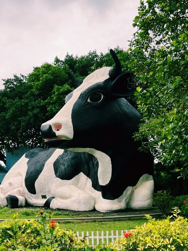 深圳親子遊首選地，光明農場大觀園一日遊攻略來啦！
