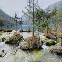 Enchanting Waters: The Magic of the Blue Lake in the Forest