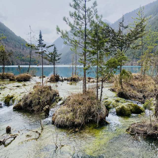 Enchanting Waters: The Magic of the Blue Lake in the Forest