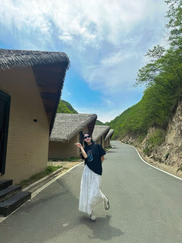 信陽文新茶村｜闖入治癒系茶山秘境