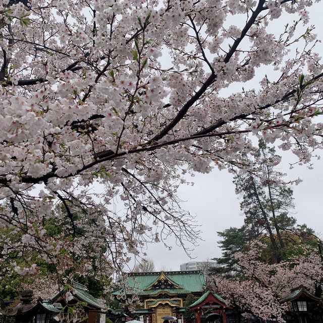 衝！上野東照宮4月限定御朱印get🏮