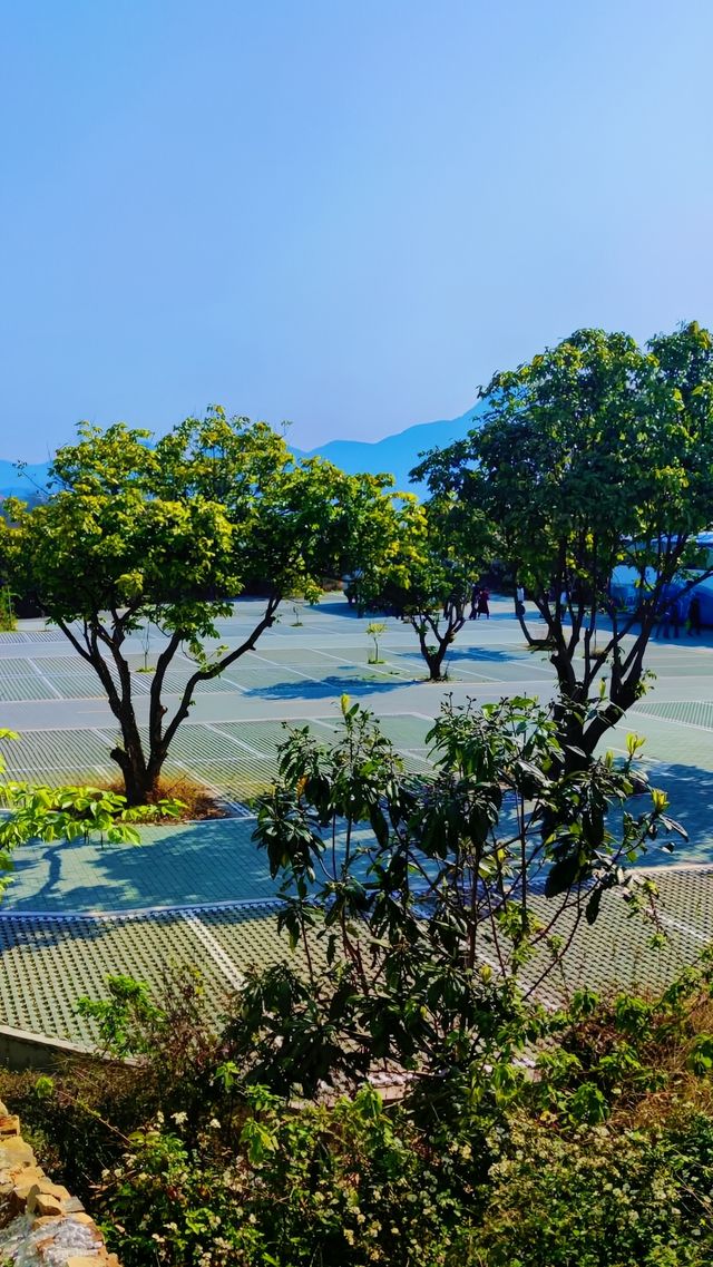 香山的行山路線適合新手嗎？