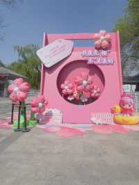 Cherry blossoms at Yuyuan Park Beijing