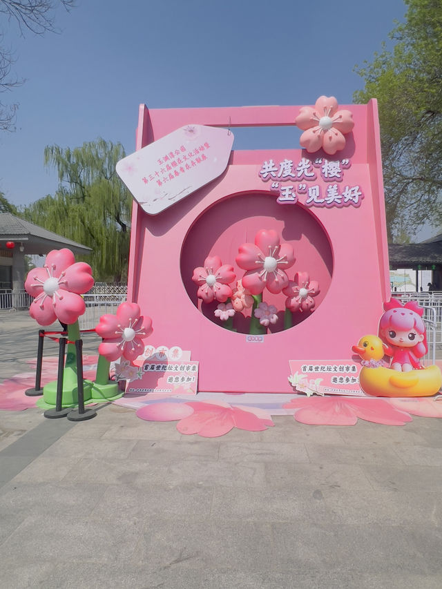 Cherry blossoms at Yuyuan Park Beijing