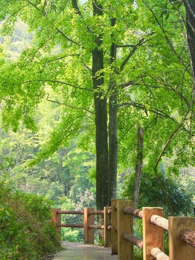 石門國家森林公園，超級震撼的自然秘境✨