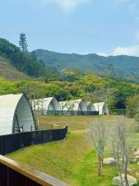 🌿 廣州天人山水 宮崎駿嘅戶外花園 🌸