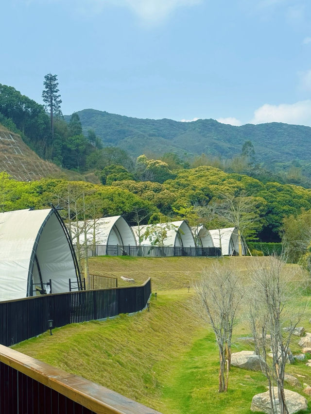🌿 廣州天人山水 宮崎駿嘅戶外花園 🌸