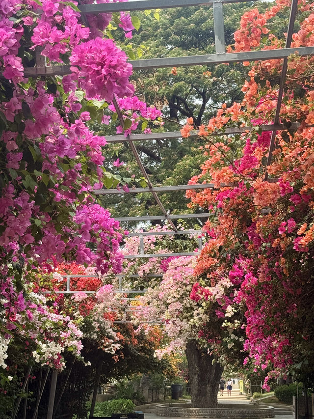 居然在老撾香昆寺｜讓我們遇見千萬大V