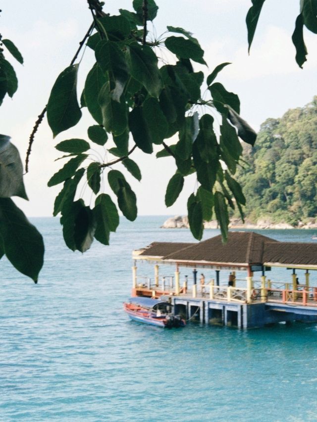 🏝 The Maldives of Malaysia: Why Perhentian Besar Stole My Heart