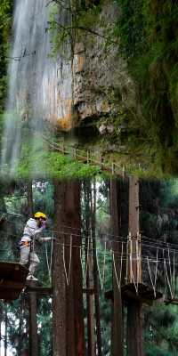 雅安龍蒼溝，不止碧峰峽