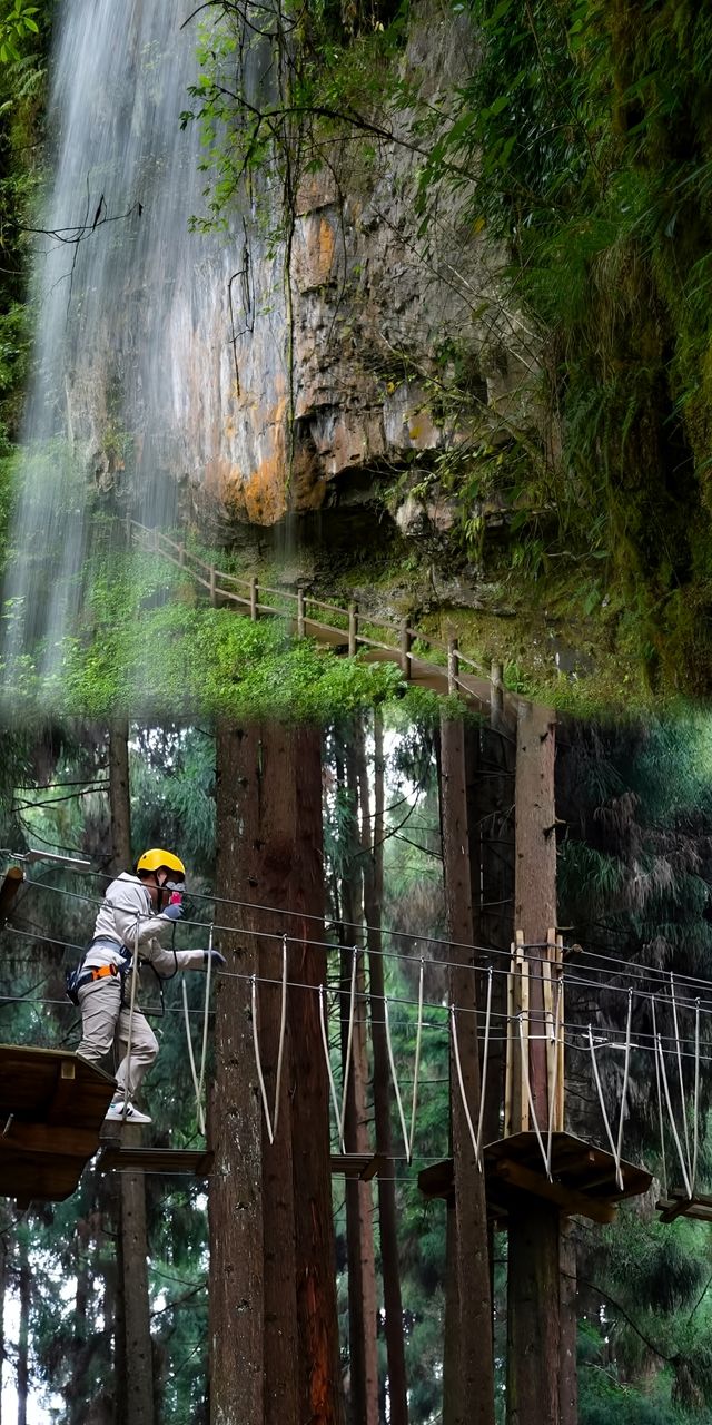 雅安龍蒼溝，不止碧峰峽