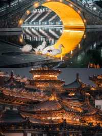 西安受罪已回，真不建議5月份來了