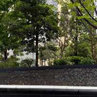 目黑中央廣場｜東京的都市綠洲🌳