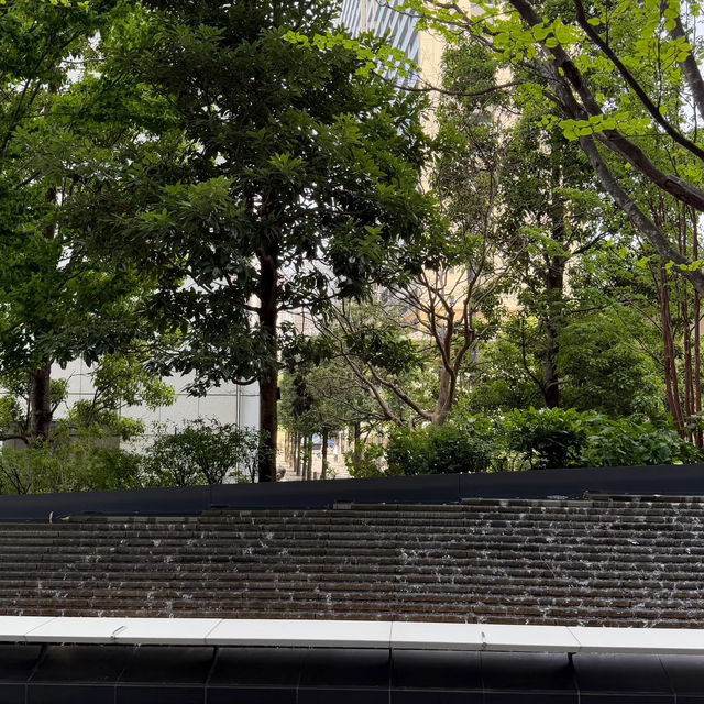 目黑中央廣場｜東京的都市綠洲🌳