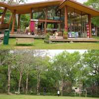 五一別再人擠人！來中山香樟公園吸氧撒歡🌳
