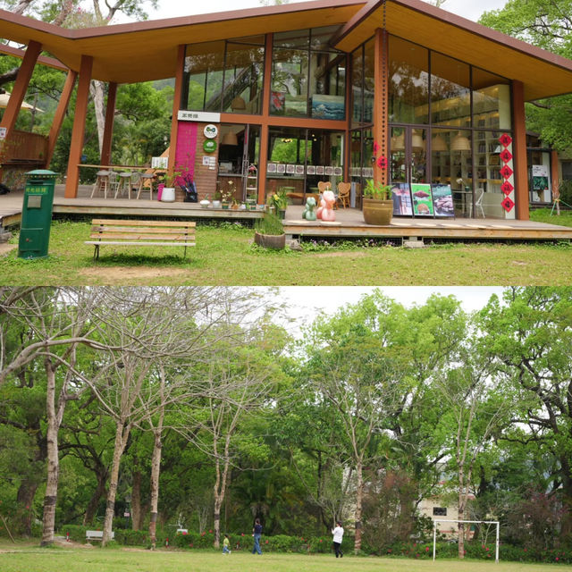 五一別再人擠人！來中山香樟公園吸氧撒歡🌳