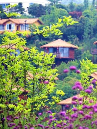 Zunyi Yifangzhu Resort Hotel