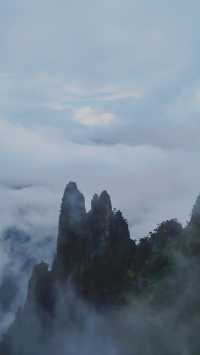 雨中漫步莽山：霧靄深處的奇幻仙蹤