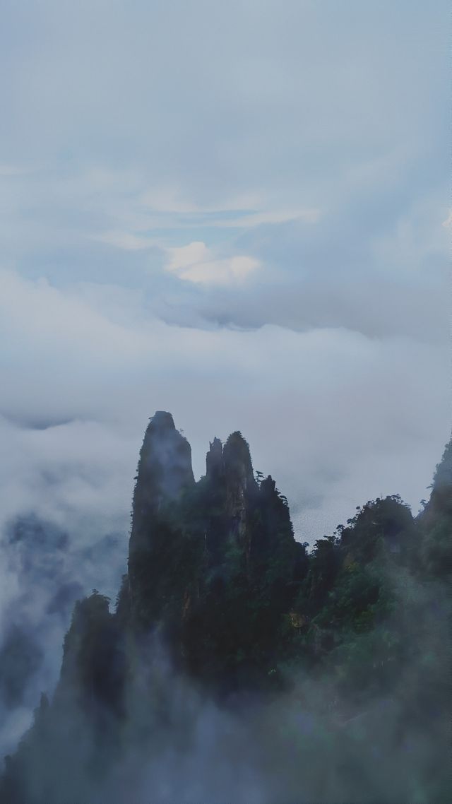 雨中漫步莽山：霧靄深處的奇幻仙蹤