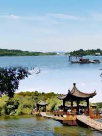 城市人嘅下鄉記：魚頭湯飲到飽，竹海茶園任影唔嬲